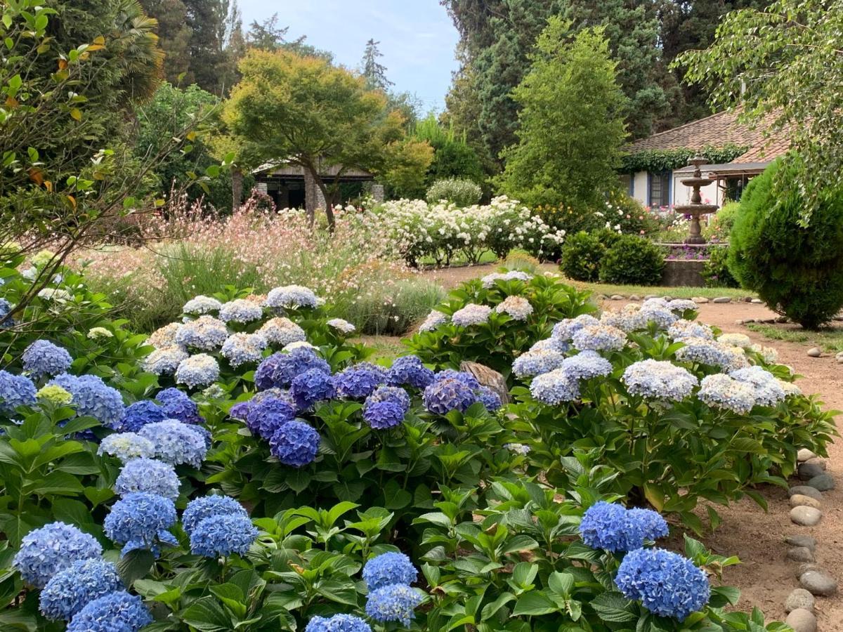 Miraflores Bed & Breakfast ,Casa De Campo San Esteban,Linares מראה חיצוני תמונה