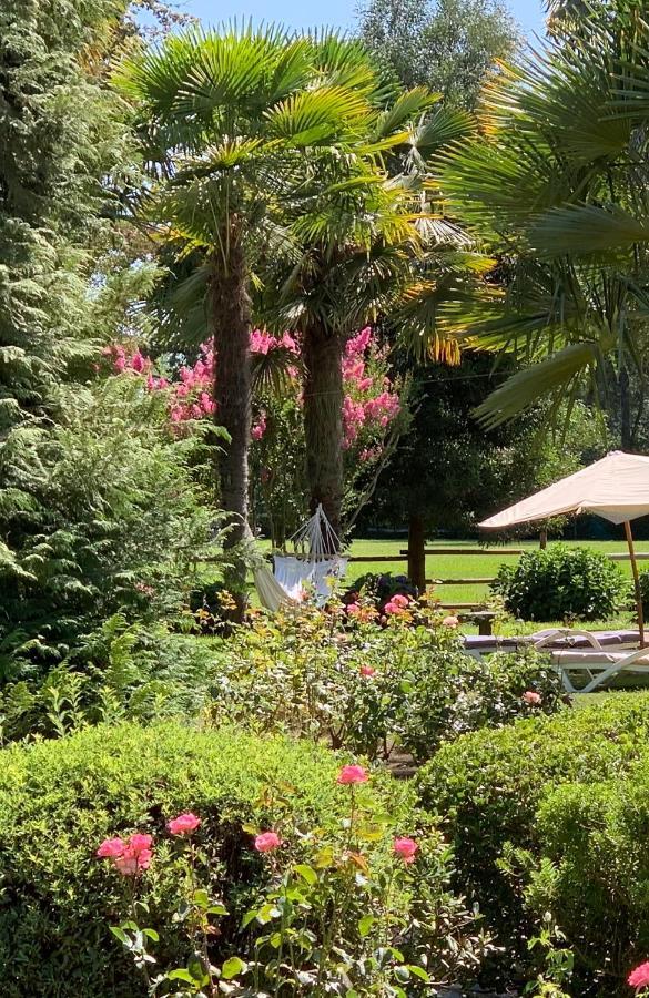 Miraflores Bed & Breakfast ,Casa De Campo San Esteban,Linares מראה חיצוני תמונה