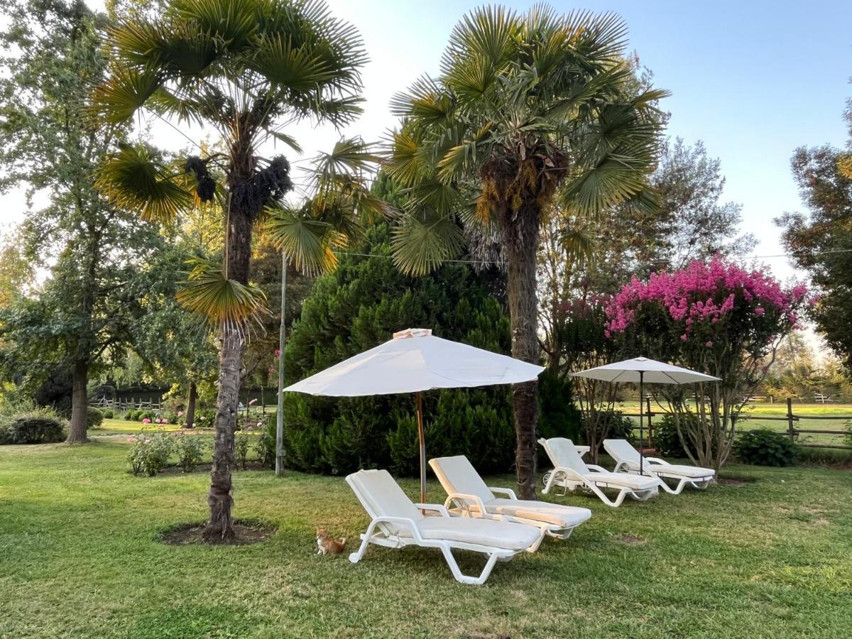 Miraflores Bed & Breakfast ,Casa De Campo San Esteban,Linares מראה חיצוני תמונה